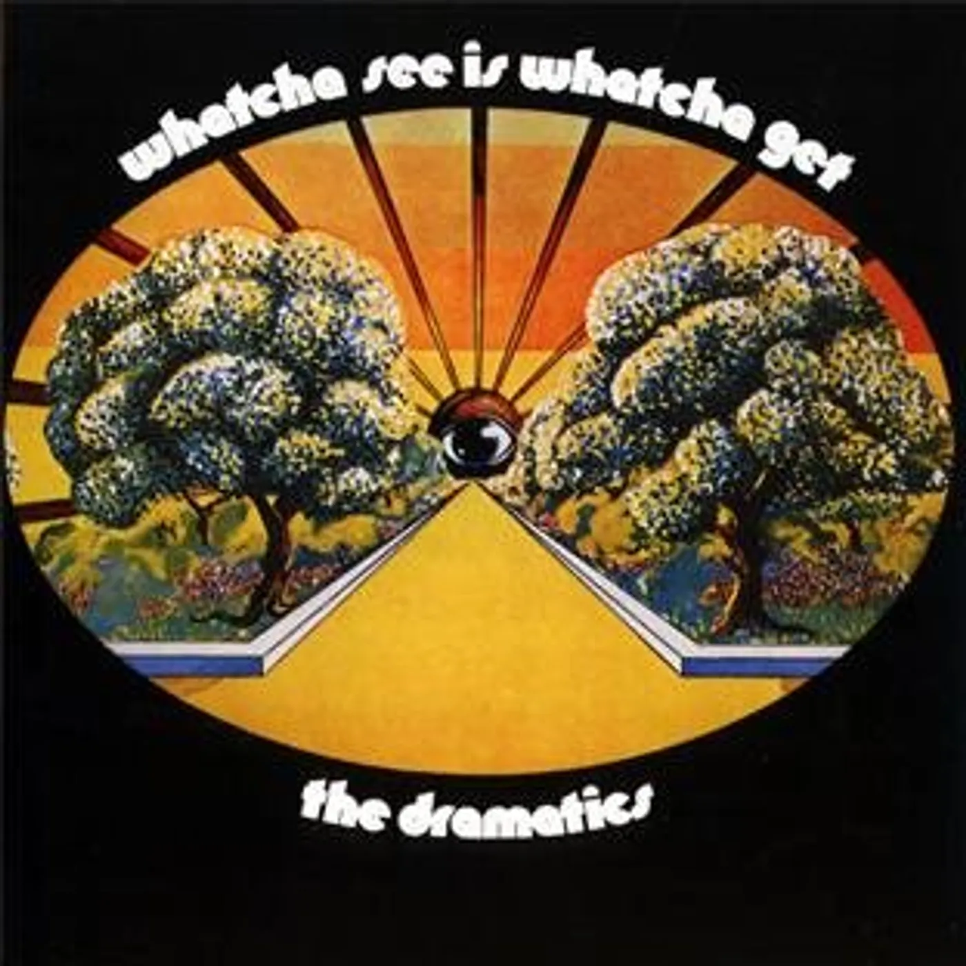 Dramatics WHATCHA SEE IS WHATCHA GET CD
