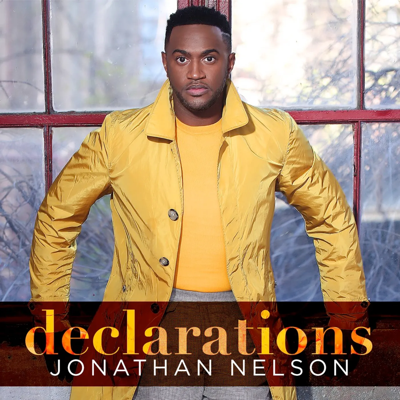 Jonathan Nelson Declarations CD