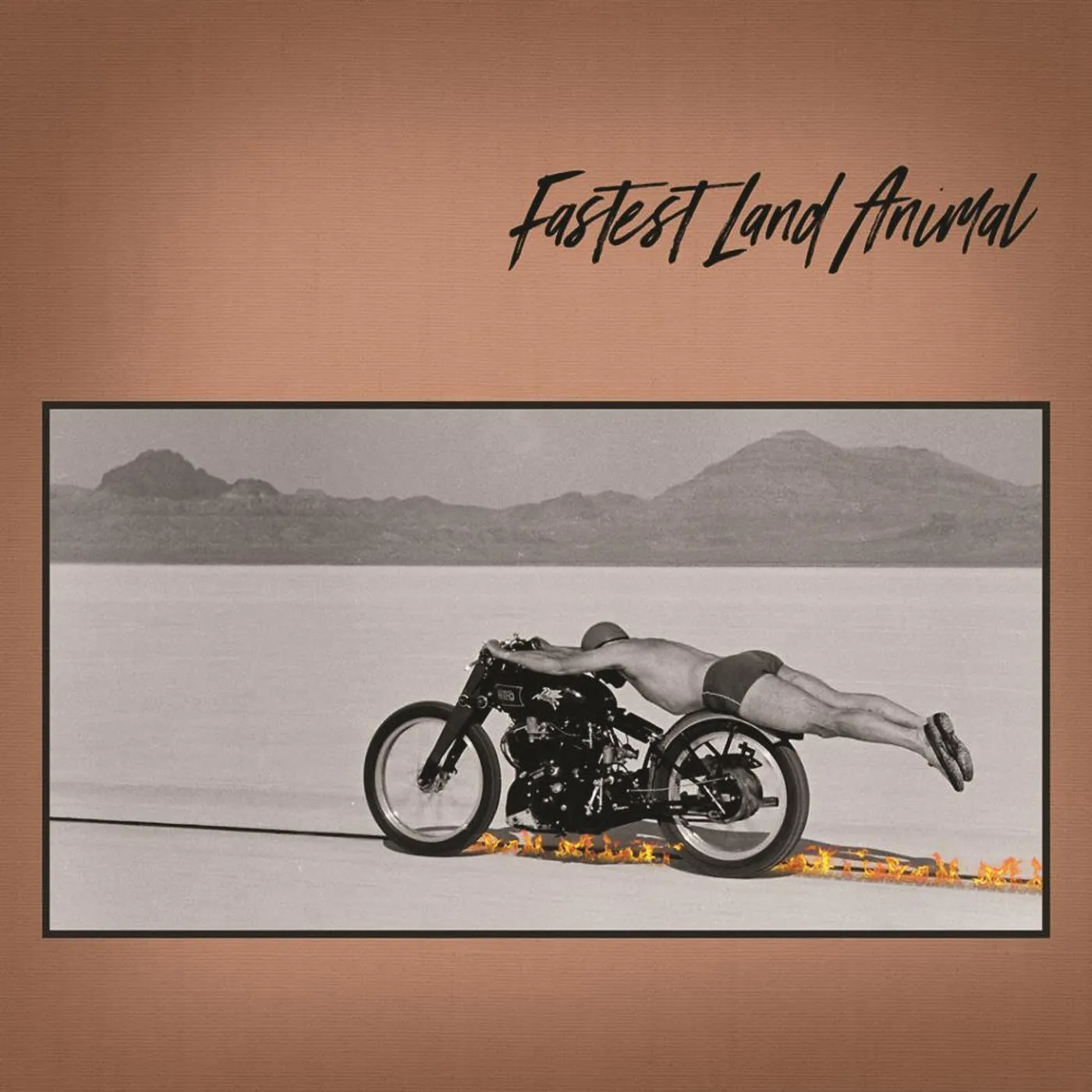 Fastest Land Animal EAST COAST, WEST COAST, IN BETWEEN CD
