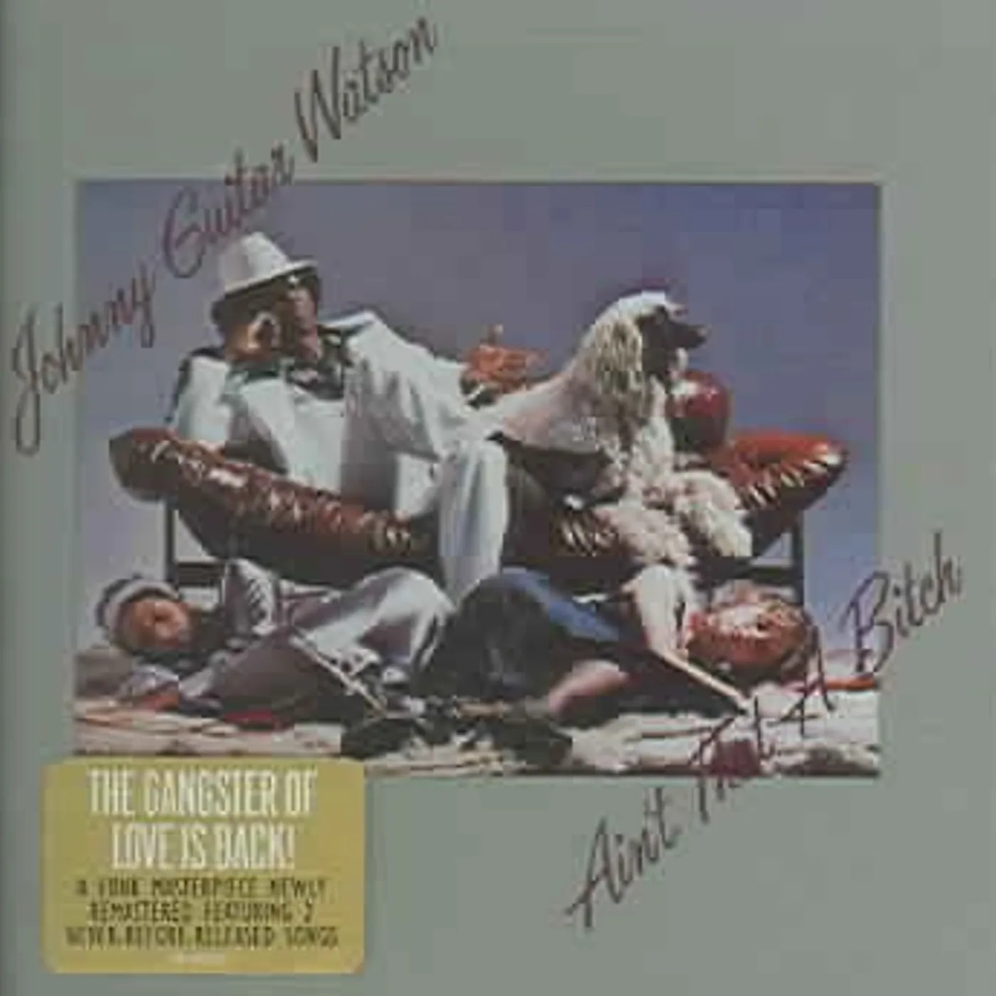 Johnny "Guitar" Watson AIN'T THAT A BITCH CD