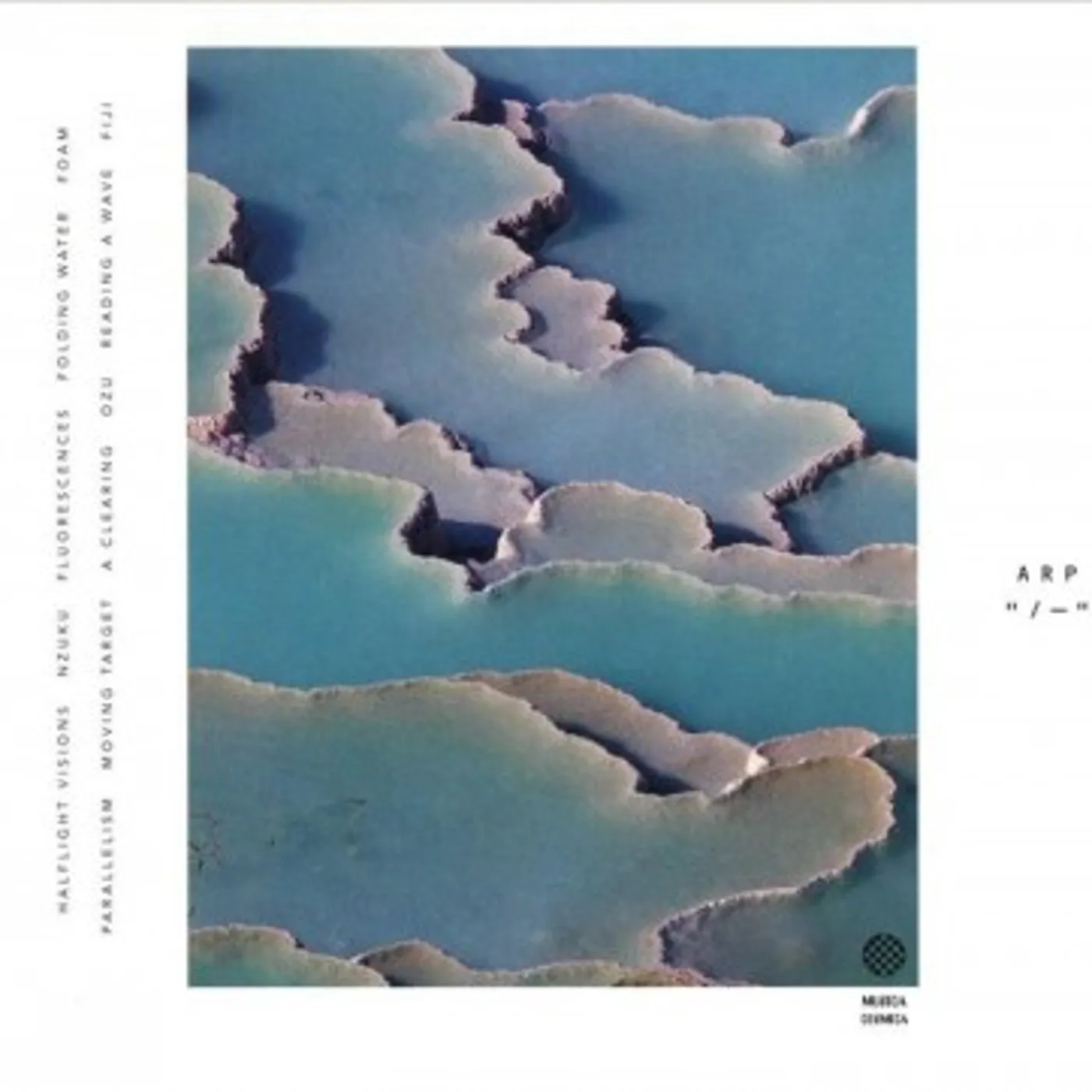 Arp ZEBRA CD