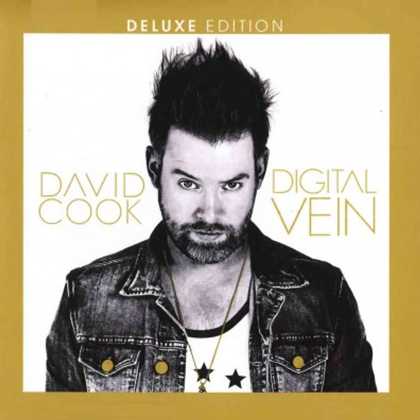 David Cook Digital Vein (Deluxe Edition) CD