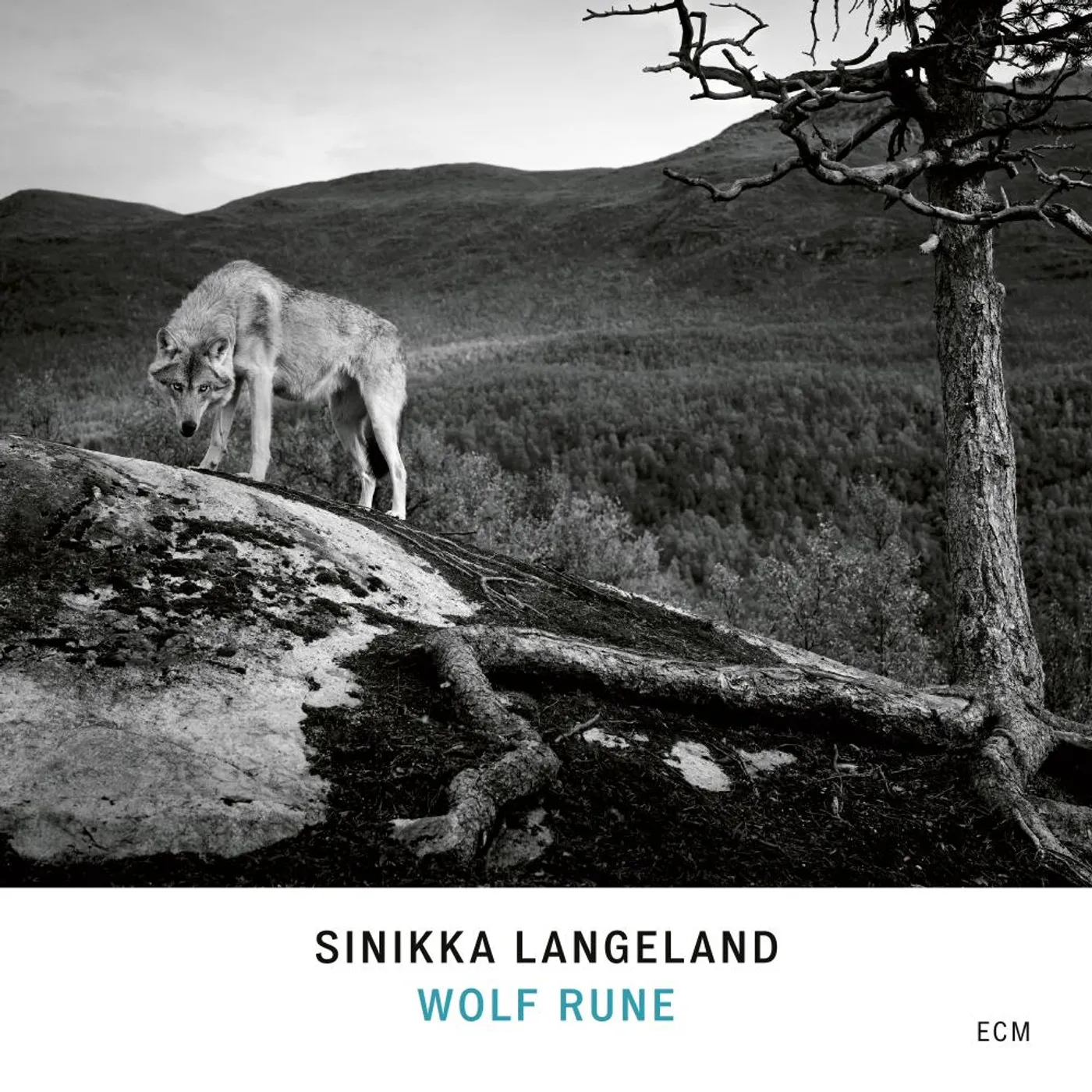 Sinikka Langeland WOLF RUNE CD