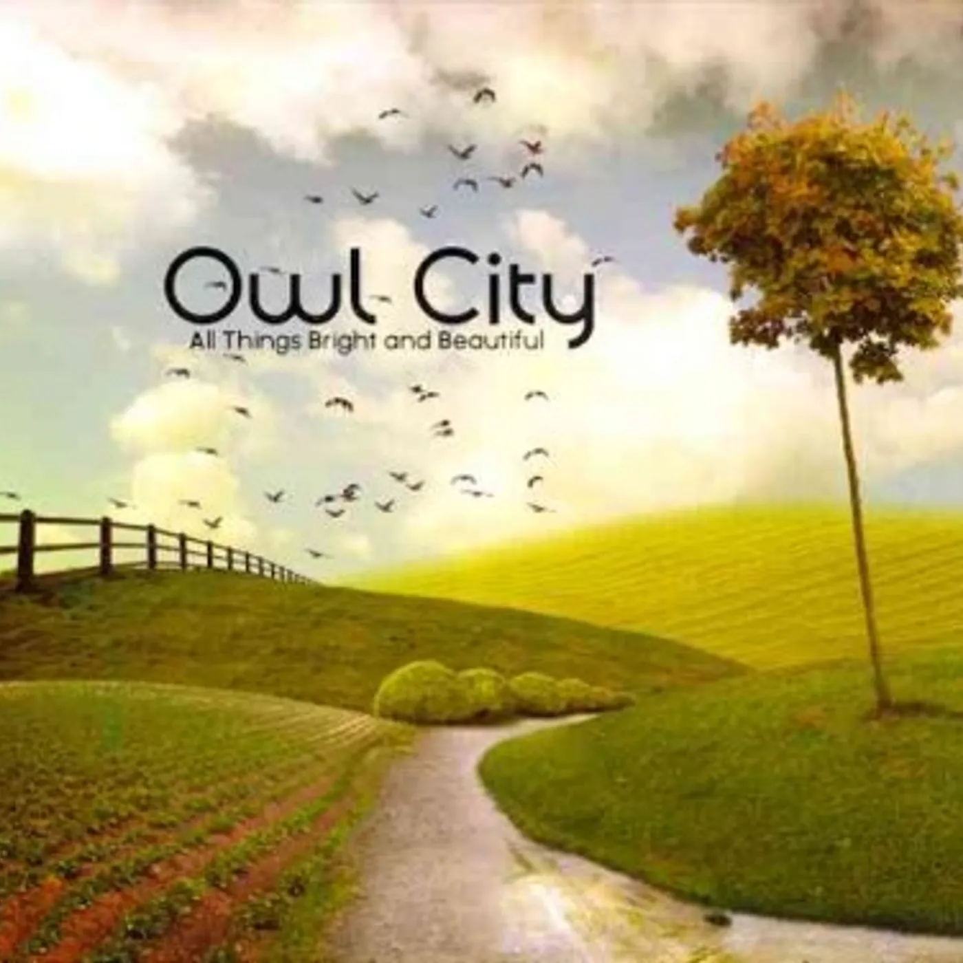 Owl City ALL THINGS BRIGHT & BEAUTIFUL CD