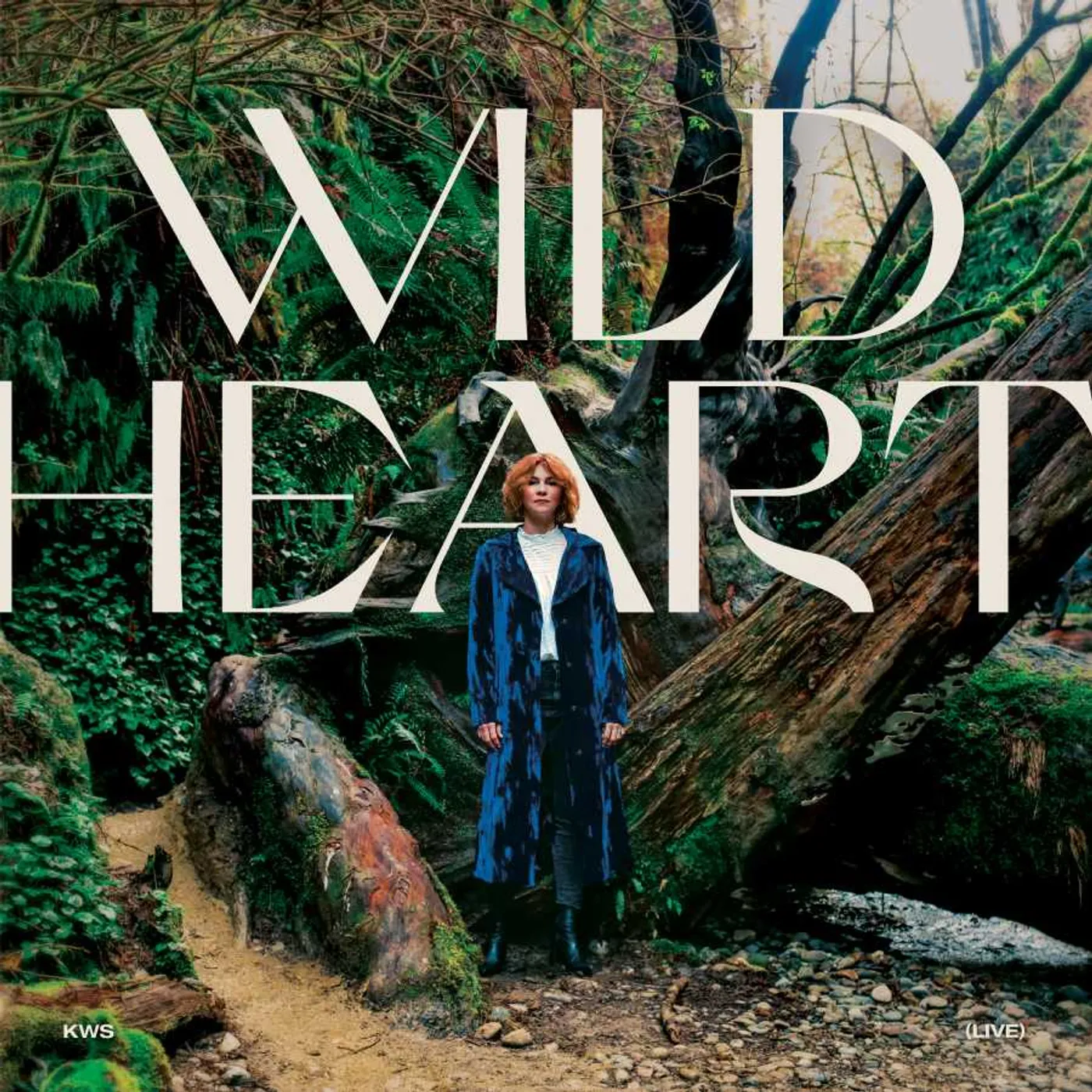 Kim Walker-Smith WILD HEART CD