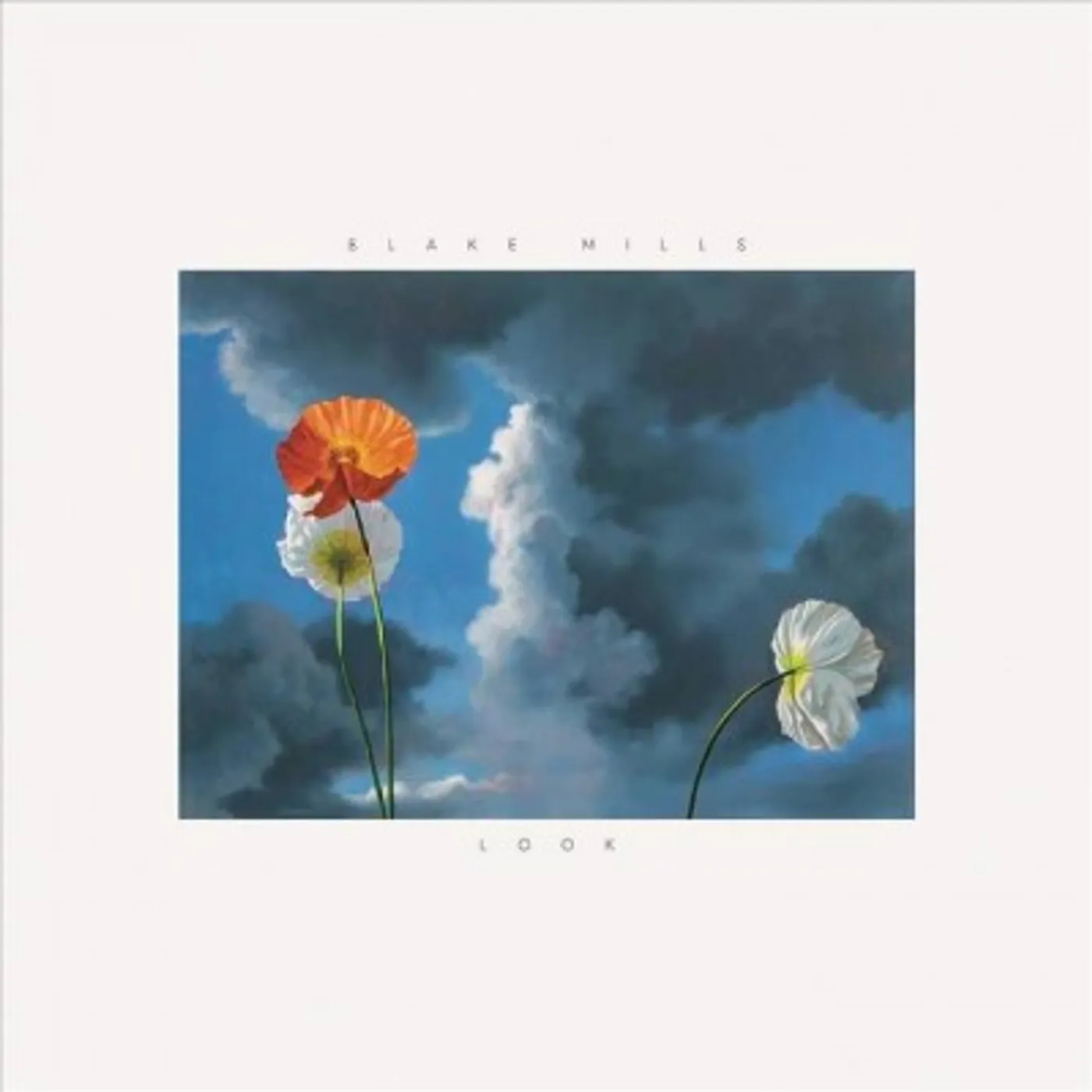Blake Mills Look CD