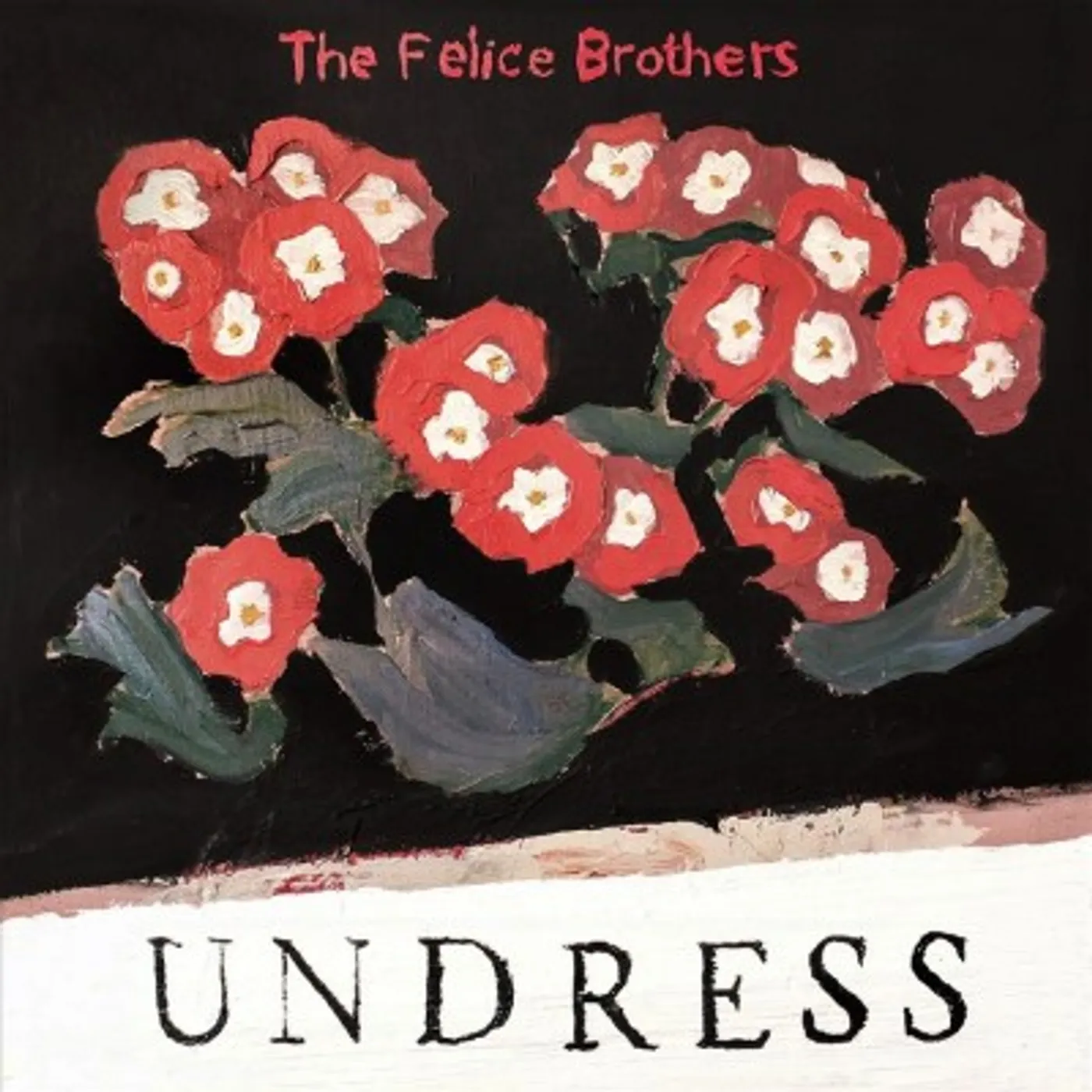 The Felice Brothers UNDRESS CD