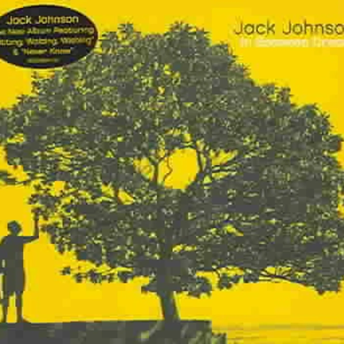 Jack Johnson IN BETWEEN DREAMS CD