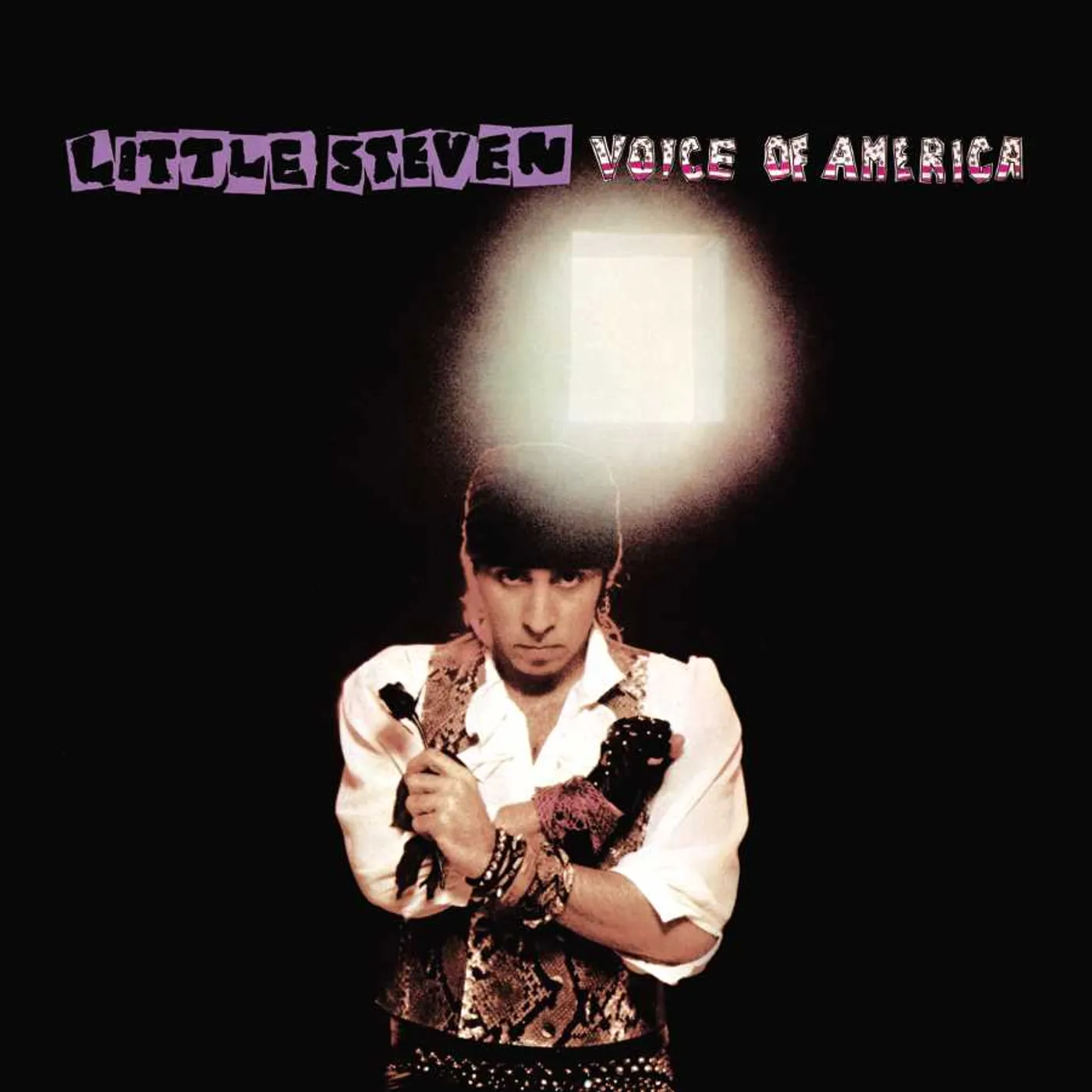 Little Steven VOICE OF AMERICA (CD/DVD) CD