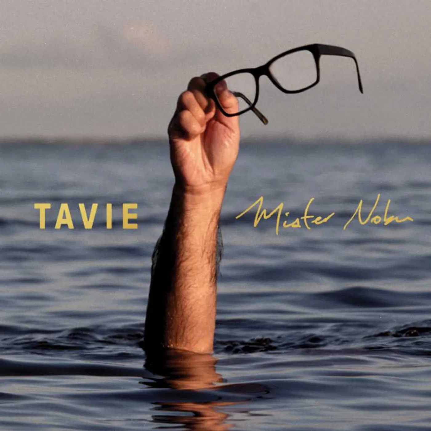 Mister Nobu TAVIE (DL CARD) Vinyl Record