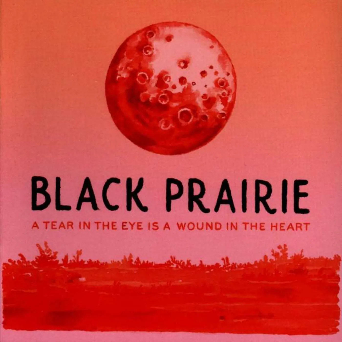 Black Prairie A Tear In The Eye Is Vinyl Record