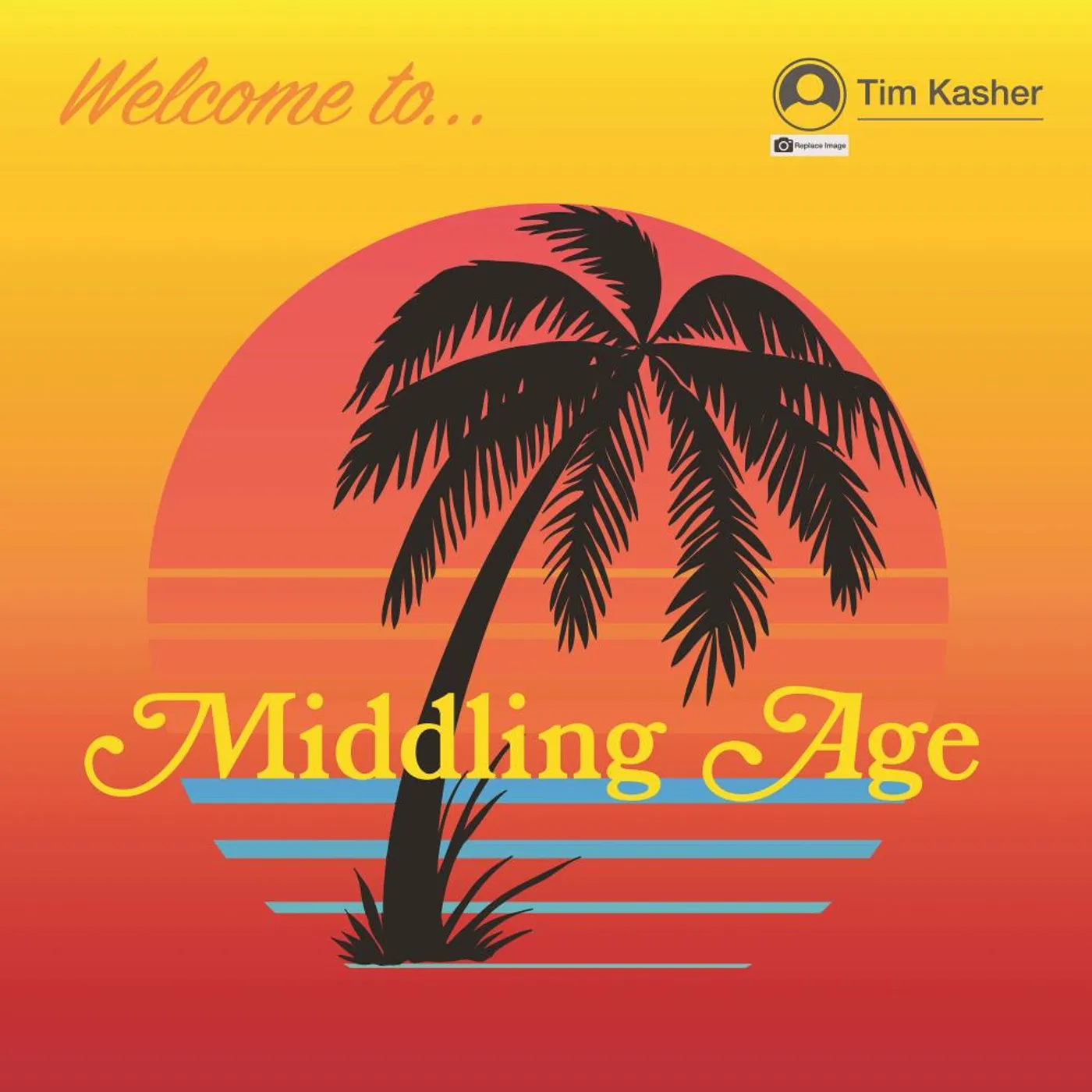 Tim Kasher Middling Age Vinyl Record