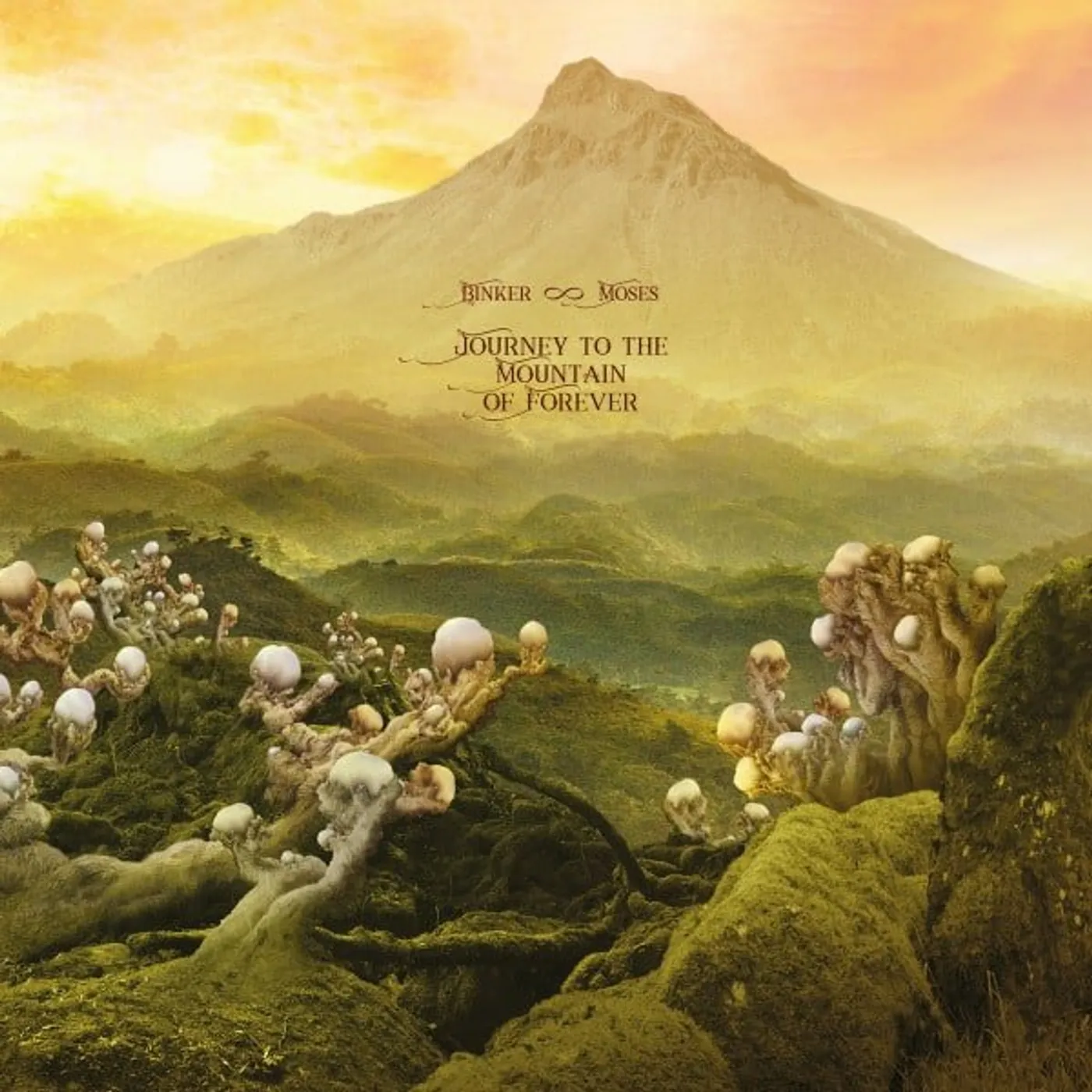 Binker and Moses Journey To The Mountain Of Forever Vinyl Record