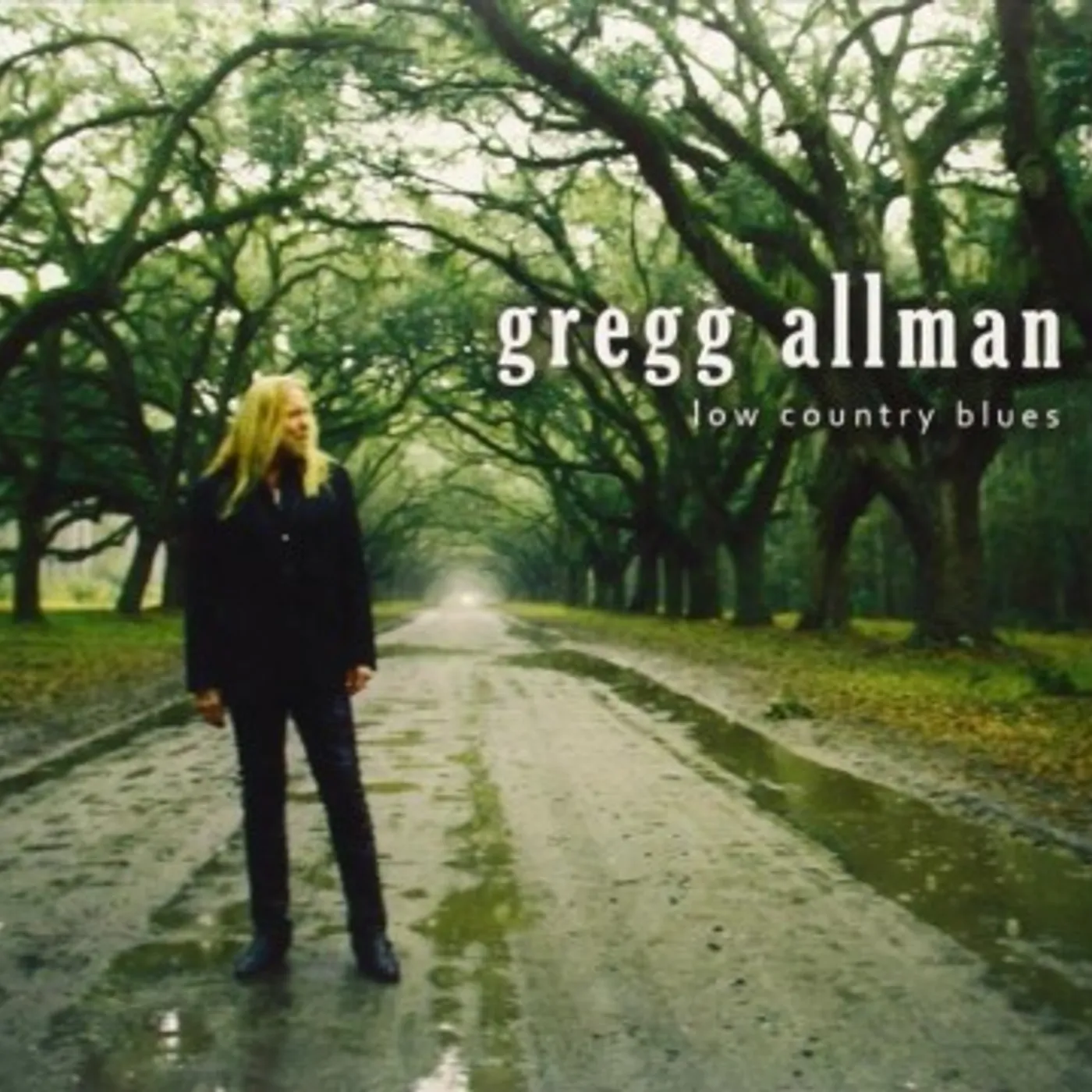 Gregg Allman Low Country Blues Vinyl Record