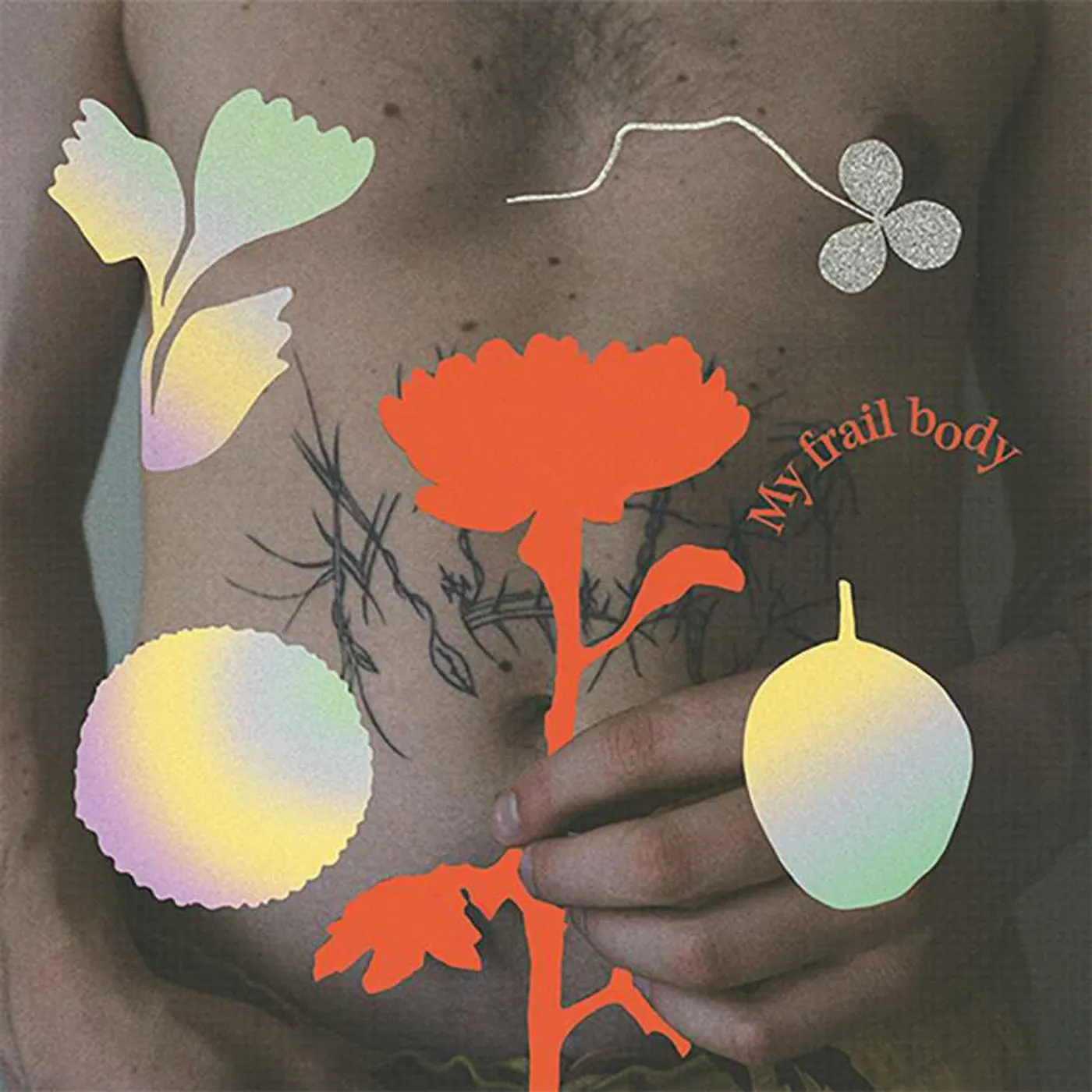 Gundelach My Frail Body Vinyl Record