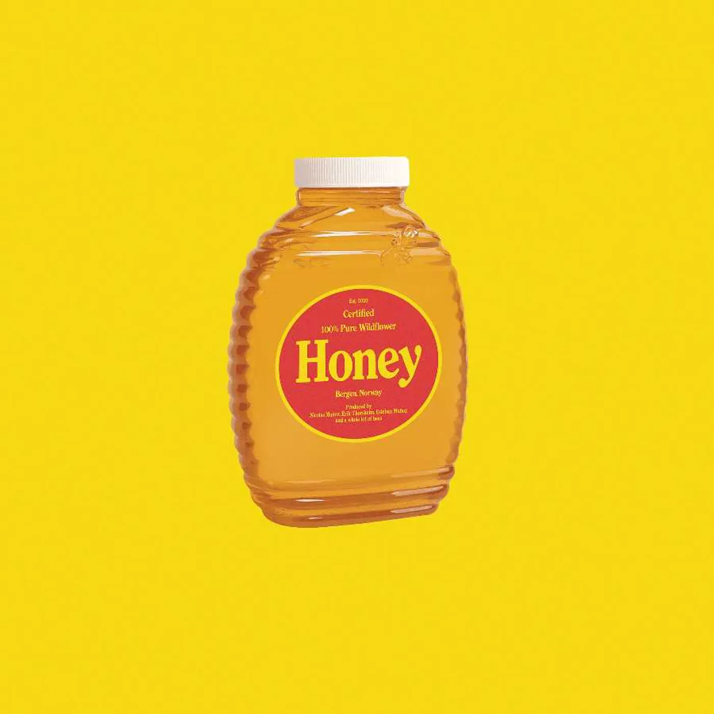 boy pablo Honey (7 ) Vinyl Record