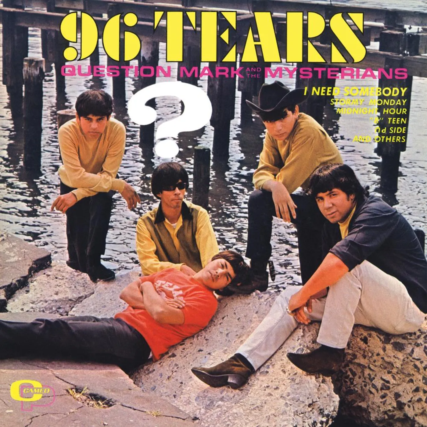 ? & The Mysterians 96 Tears (LP) Vinyl Record