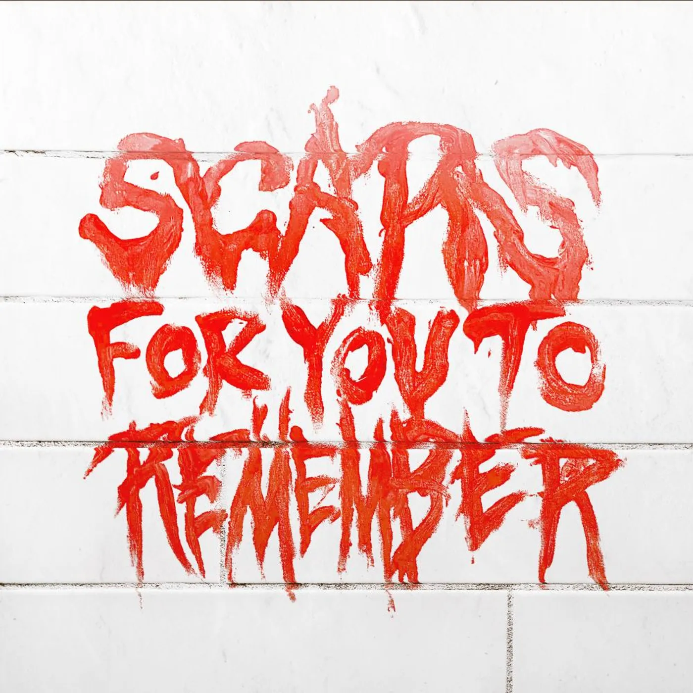 Varials Scars For You To Remember Vinyl Record