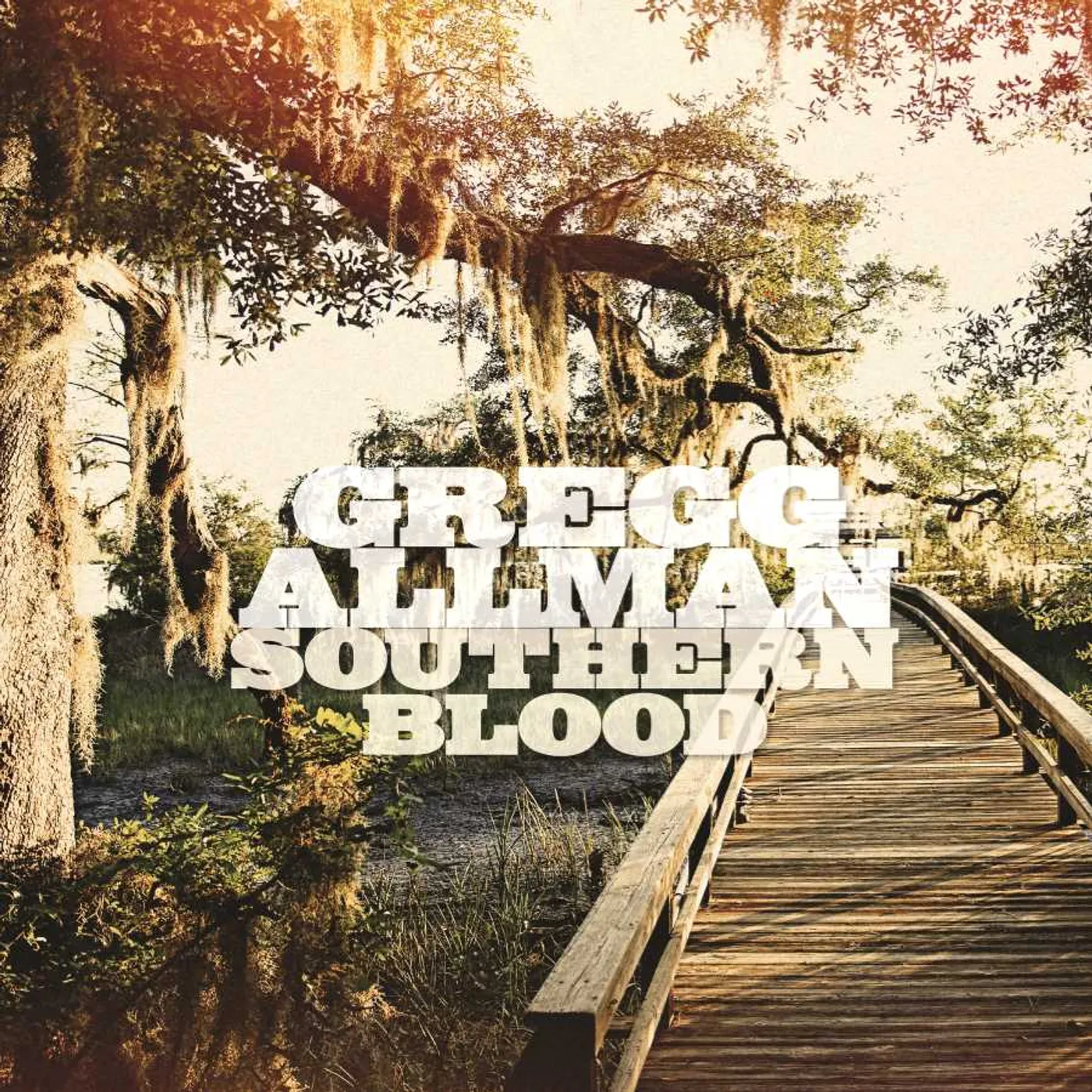 Gregg Allman SOUTHERN BLOOD Vinyl Record