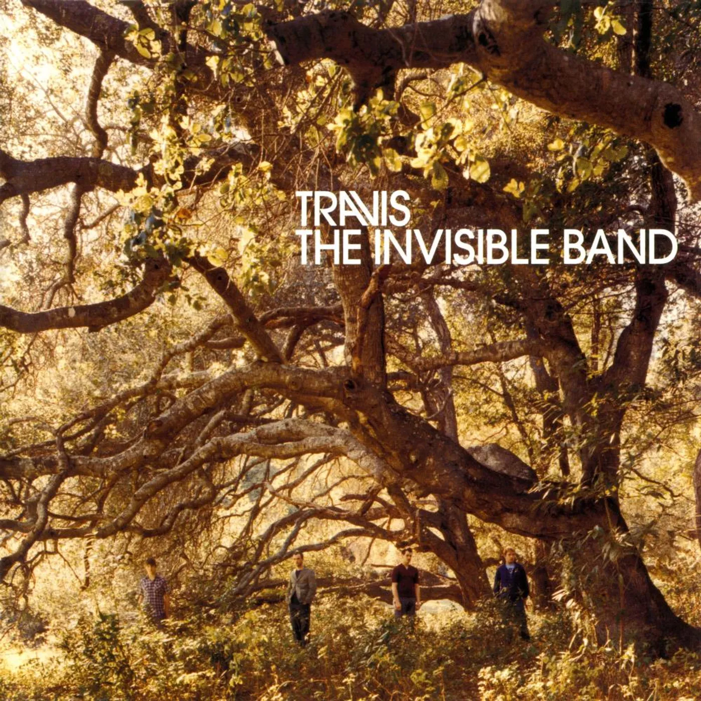 Travis INVISIBLE BAND Vinyl Record