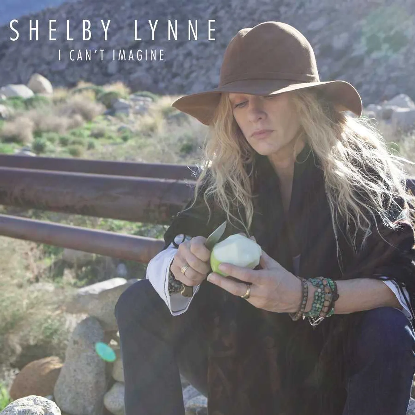 Shelby Lynne I Can't Imagine Vinyl Record