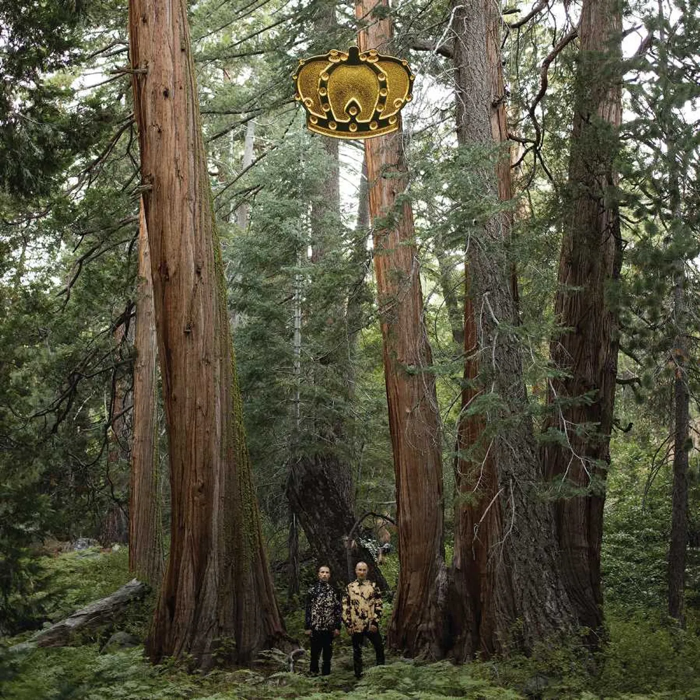 DJDS Stand Up And Spea(Lp Vinyl Record