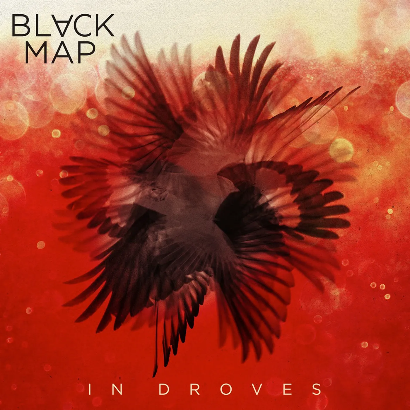 Black Map In Droves Vinyl Record