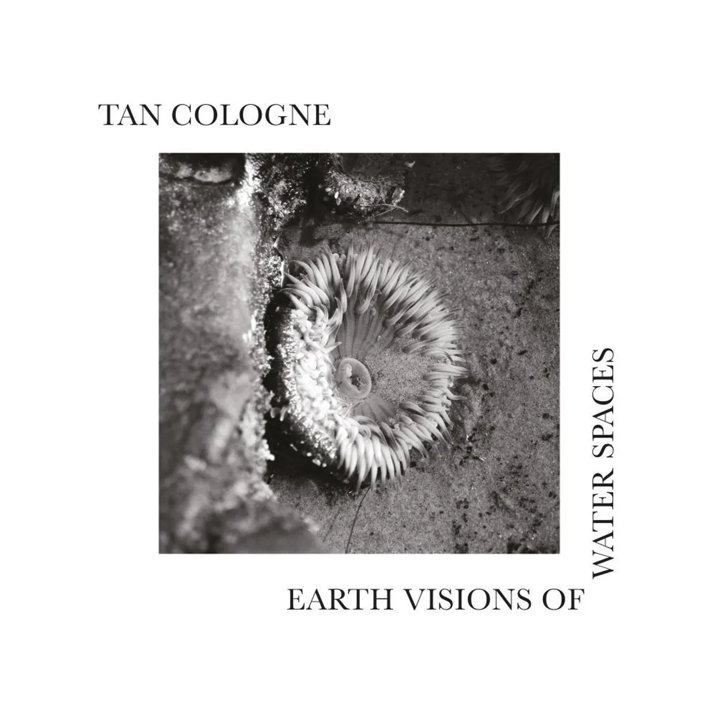 Tan Cologne Earth Visions Of Water Spaces (LP) Vinyl Record
