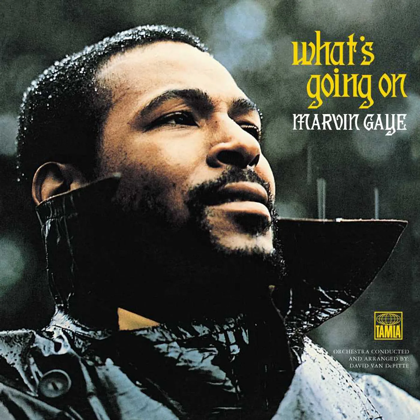 Marvin Gaye What's Going On Vinyl Record