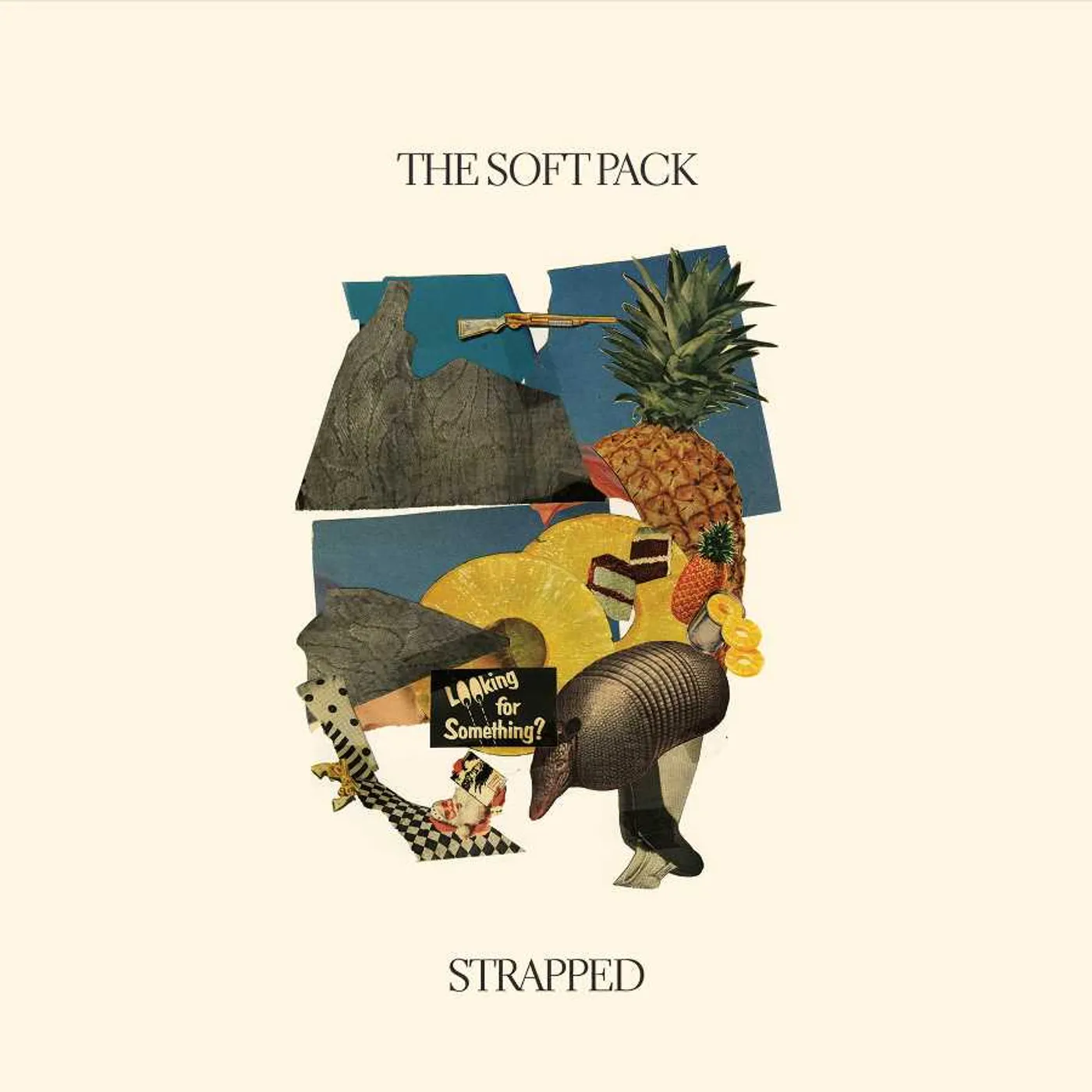 The Soft Pack STRAPPED Vinyl Record