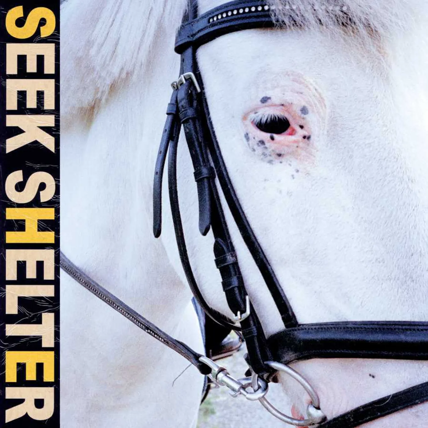 Iceage SEEK SHELTER (DL CODE) Vinyl Record