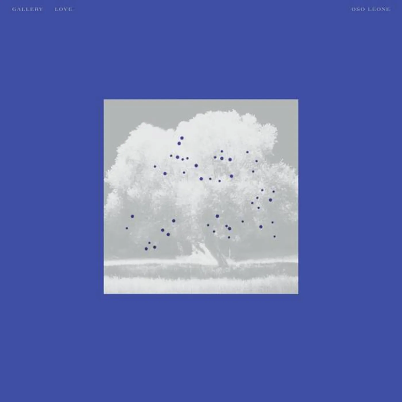 oso leone Gallery Love Vinyl Record