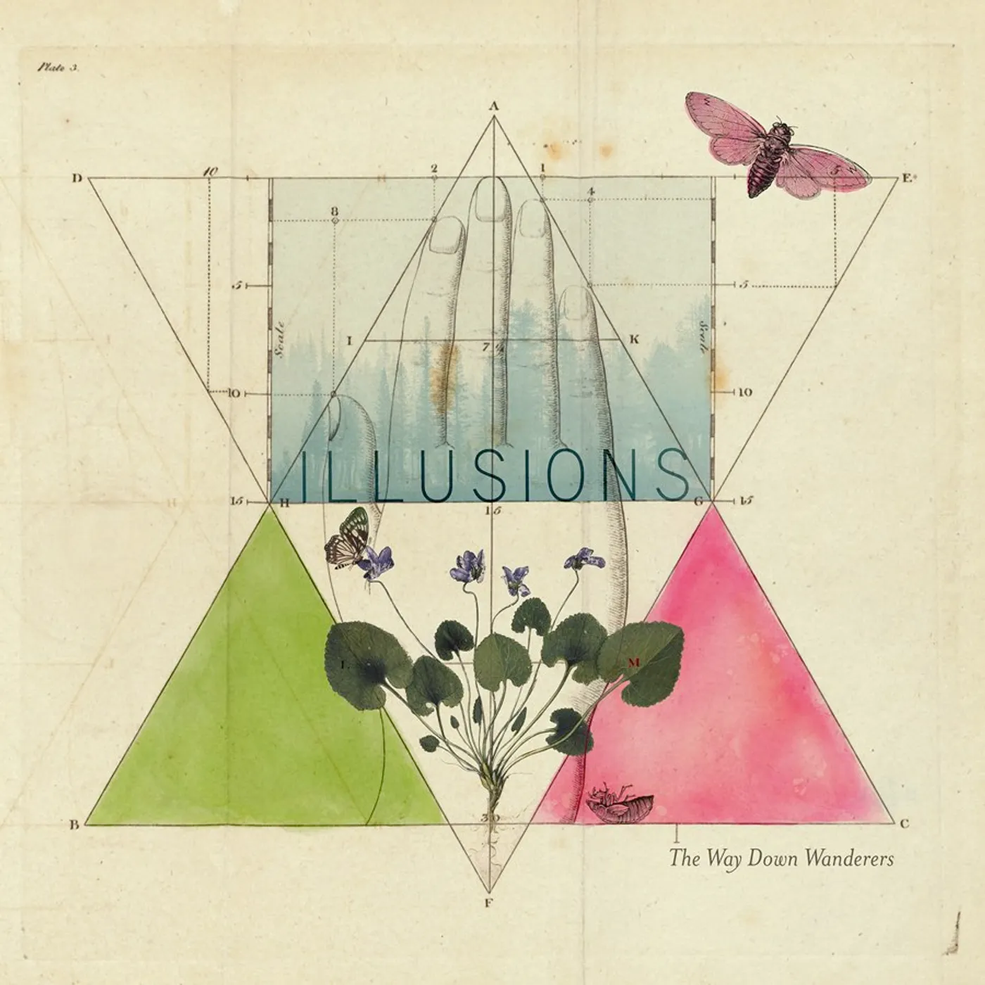 The Way Down Wanderers ILLUSIONS (CLEAR VINYL) Vinyl Record