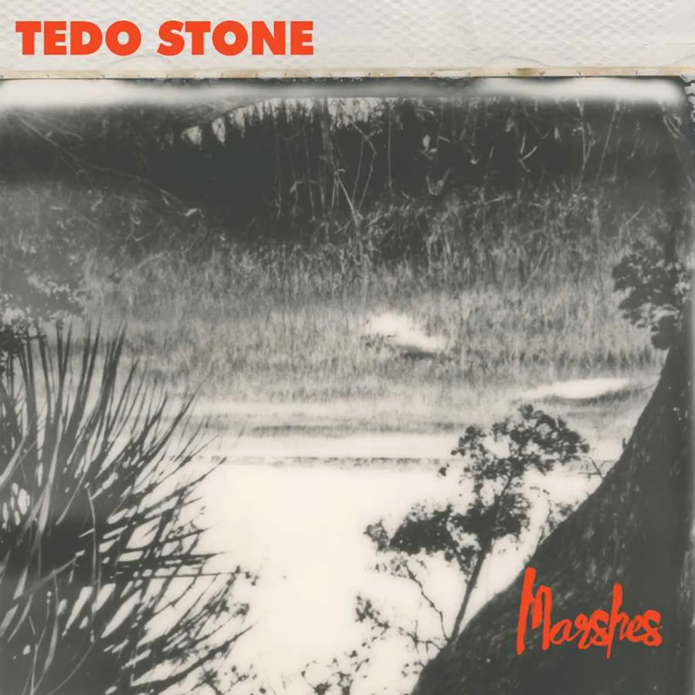 Tedo Stone Marshes Vinyl Record