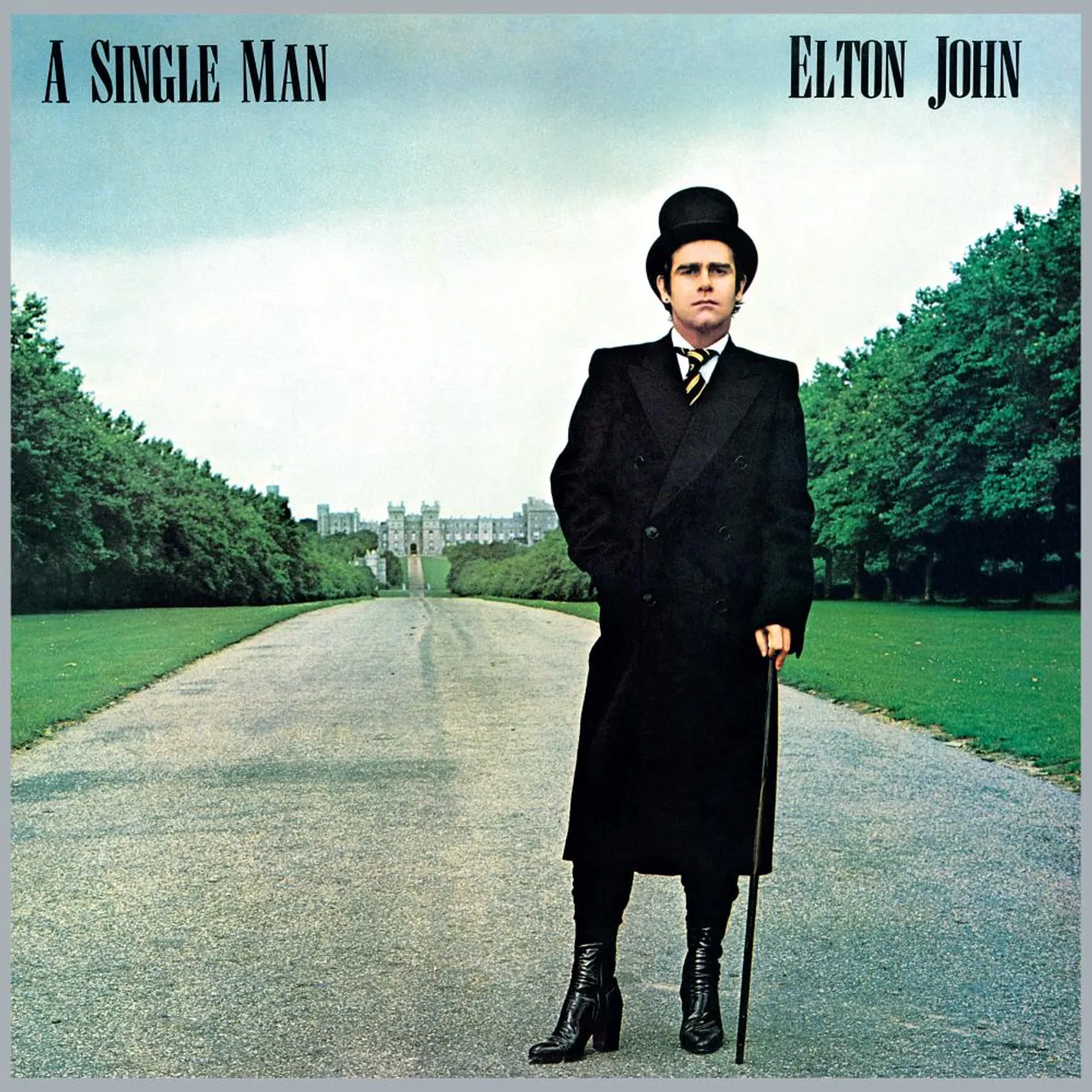 Elton John A Single Man Vinyl Record