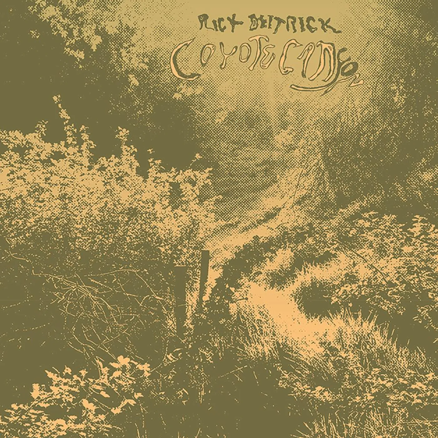 Rick Deitrick COYOTE CANYON Vinyl Record