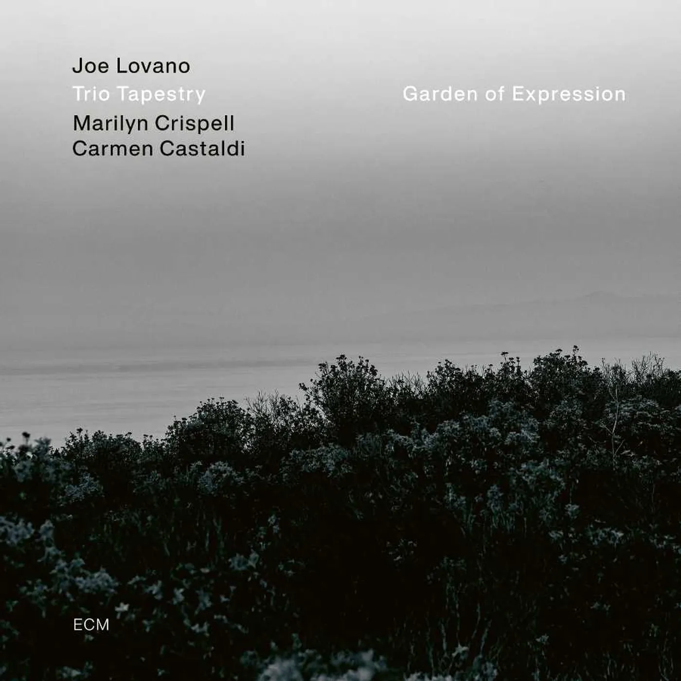 Joe Lovano / Marilyn Crispell / Carmen Castaldi Garden Of Expression Vinyl Record