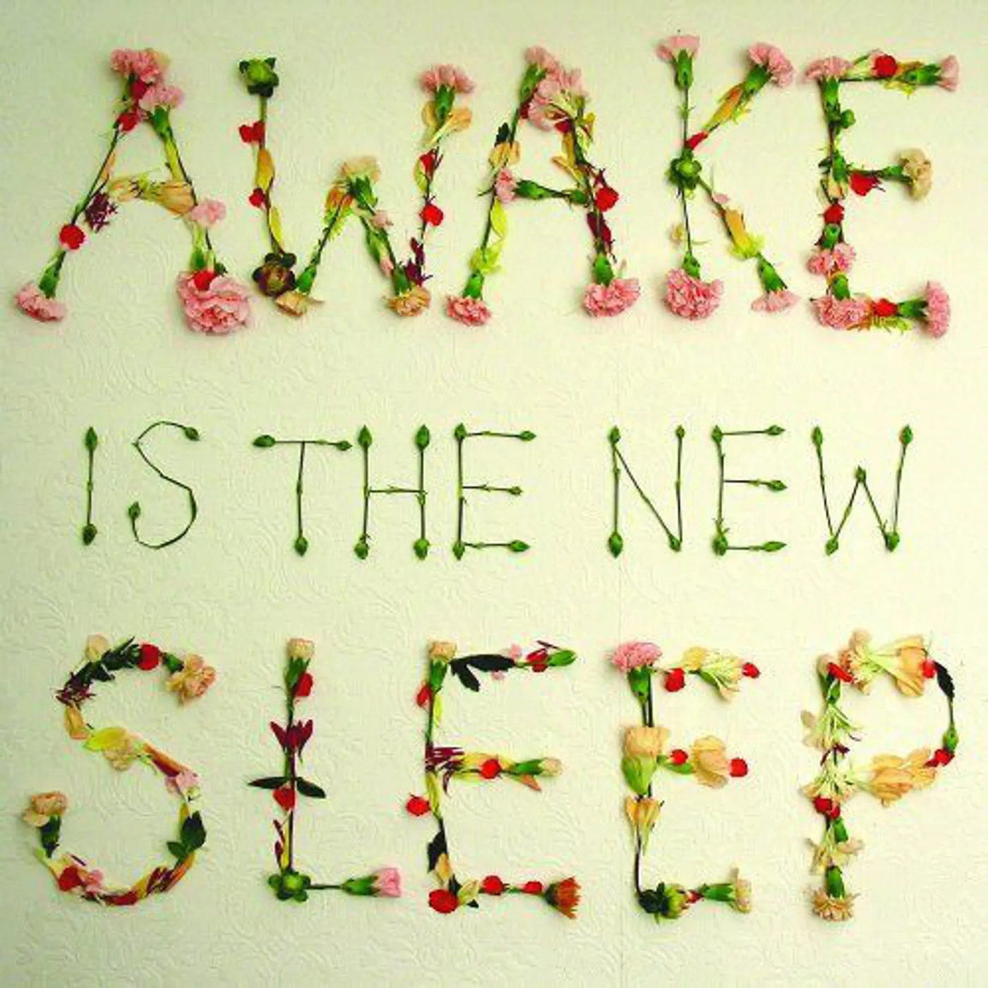 Ben Lee Awake Is the New Sleep Vinyl Record