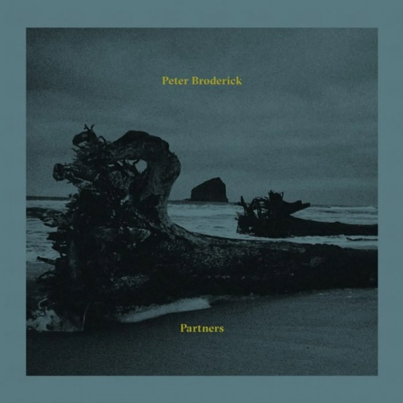 Peter Broderick Partners Vinyl Record