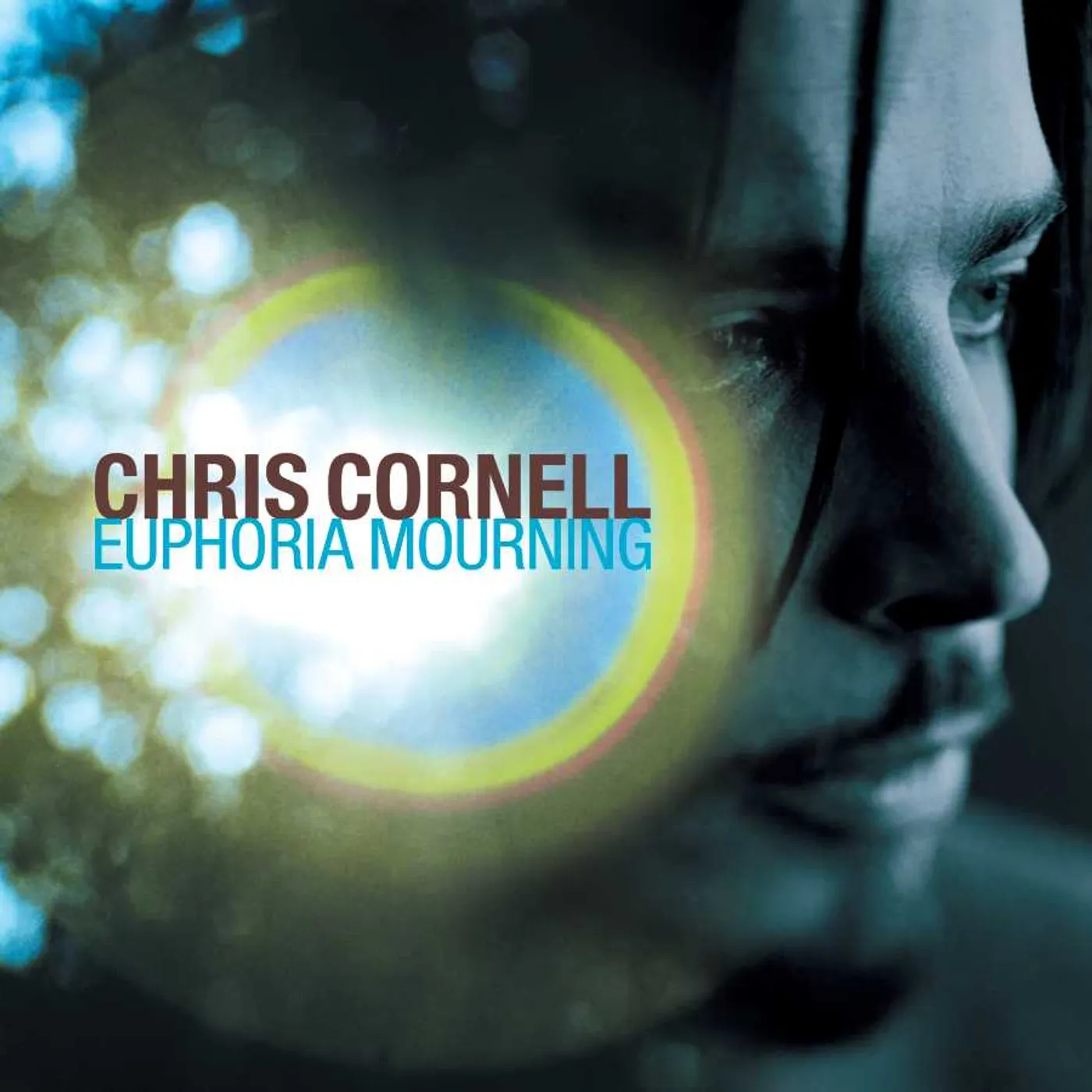 Chris Cornell Euphoria Mourning (LP) Vinyl Record