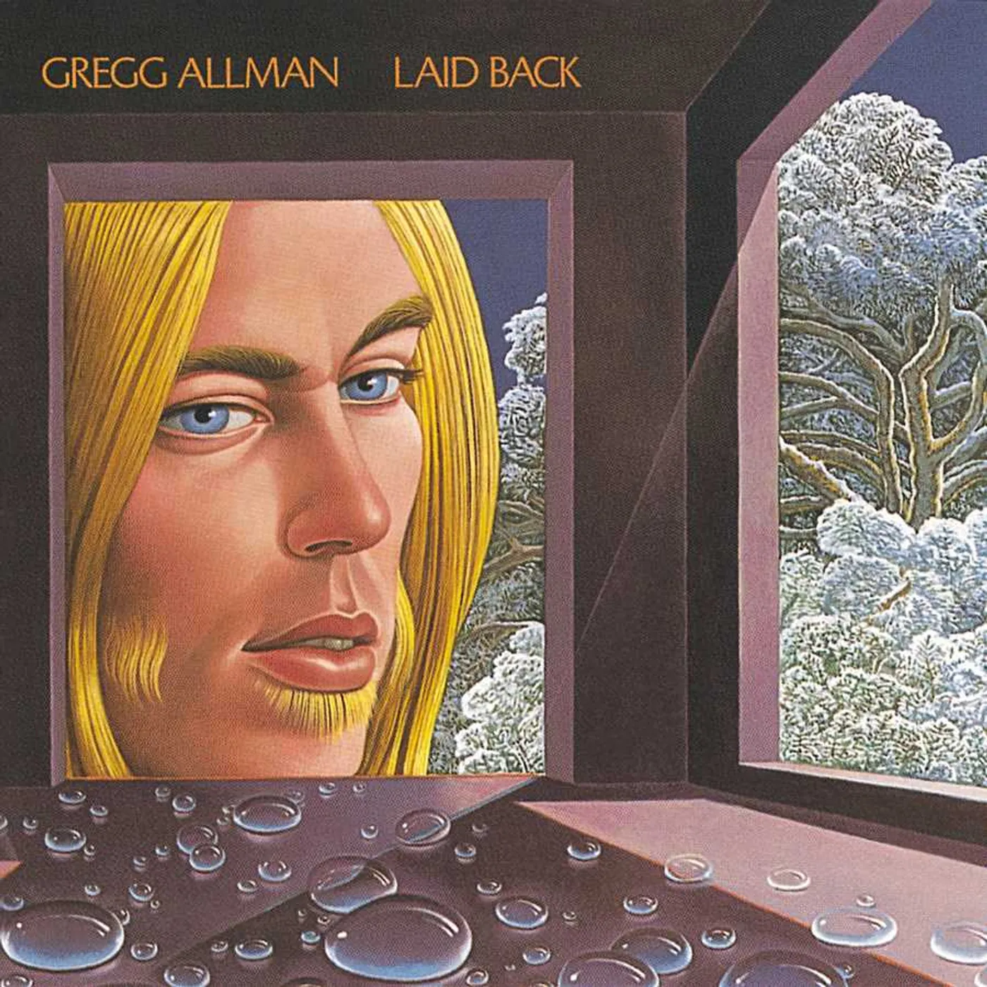 Gregg Allman Laid Back Vinyl Record