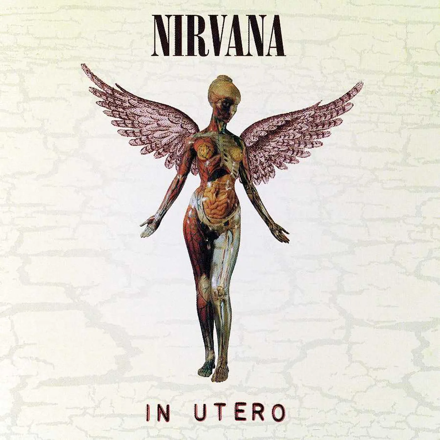 Nirvana IN UTERO: 2013 MIX (2LP) Vinyl Record