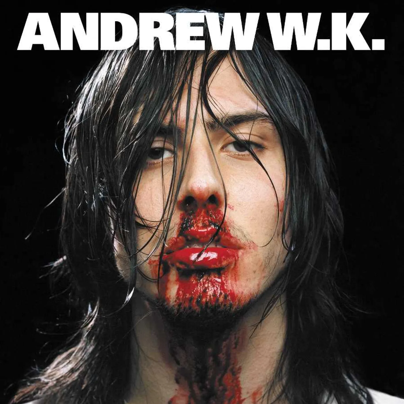 Andrew W.K. I GET WET Vinyl Record