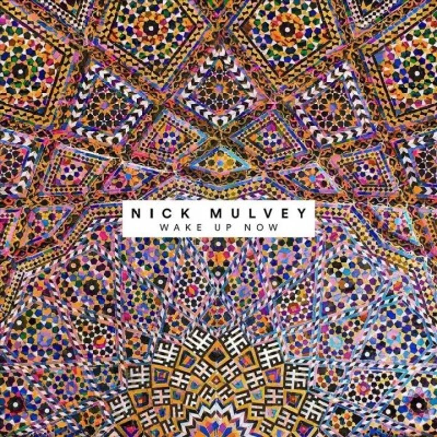 Nick Mulvey Wake Up Now Vinyl Record