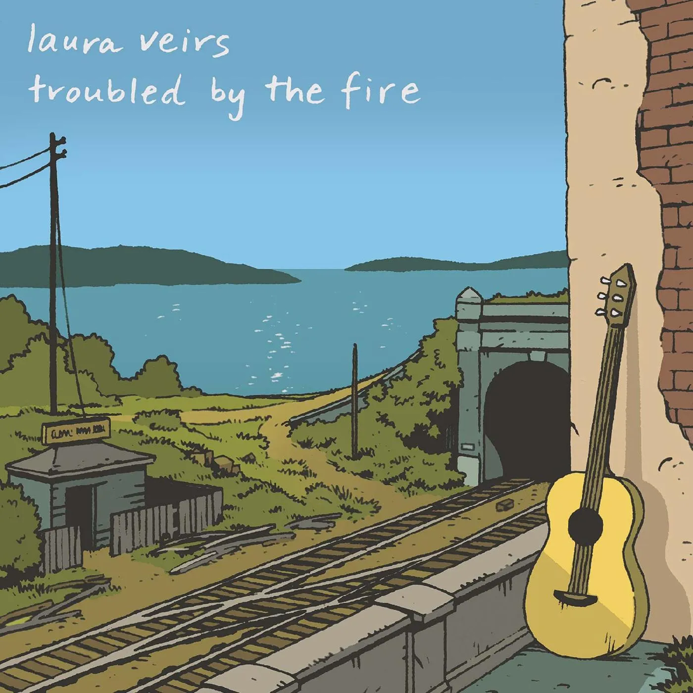 Laura Veirs Troubled By The Fire Vinyl Record