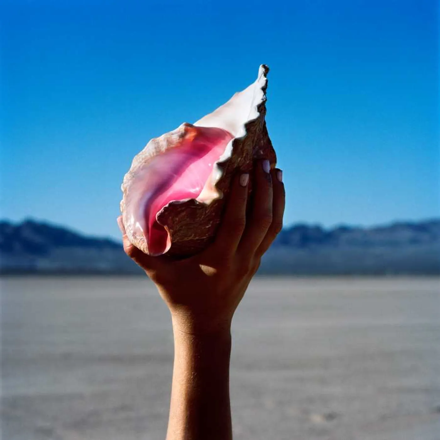 The Killers Wonderful Wonderful Vinyl Record