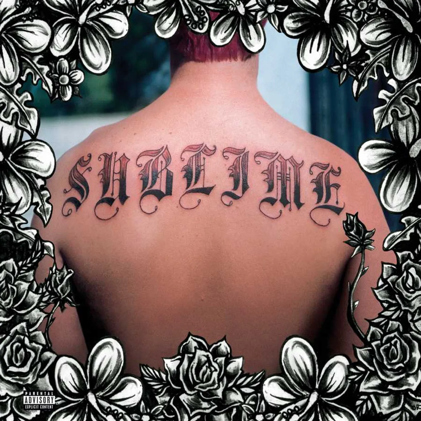 Sublime Vinyl Record