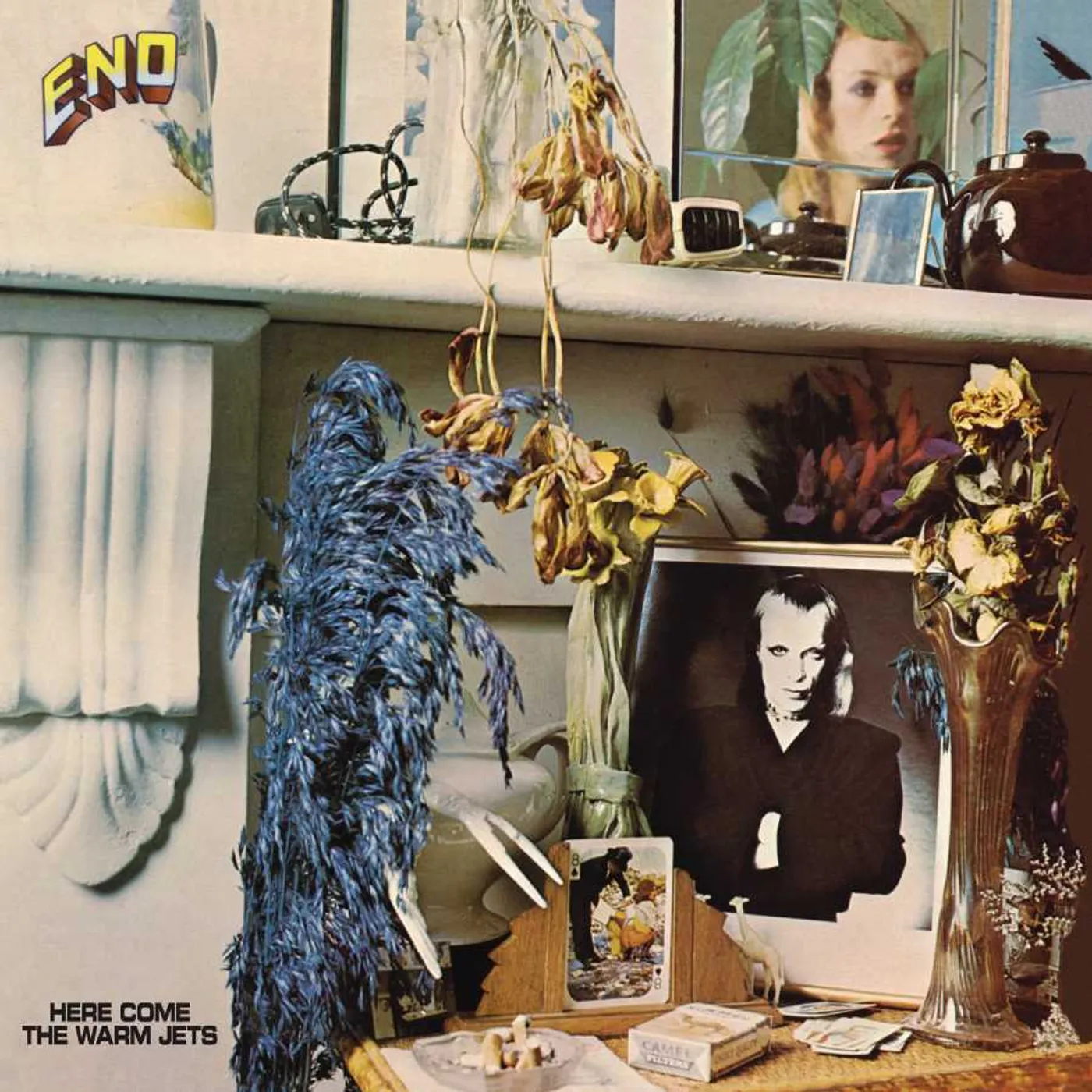 Brian Eno Here Come The Warm Jets (LP) Vinyl Record