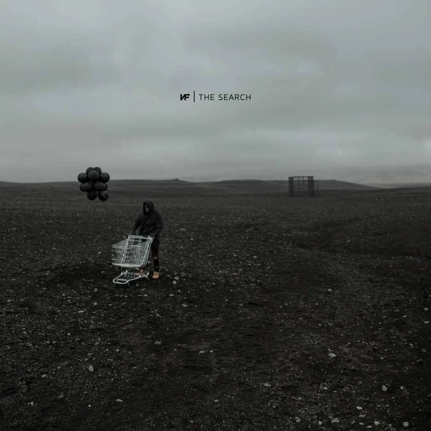 NF SEARCH (2LP) Vinyl Record