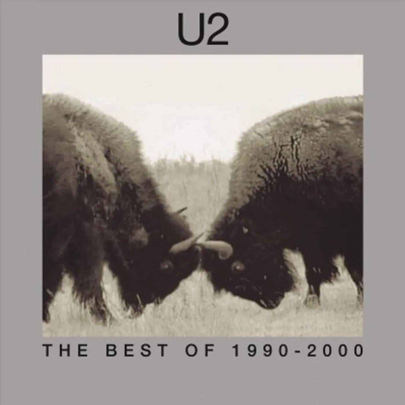 U2 BEST OF 1990-2000 (2LP) Vinyl Record